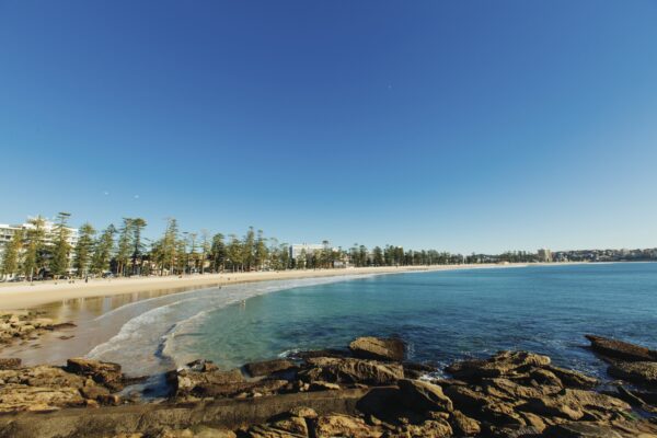 manly-600x400-1 manly-600x400-1