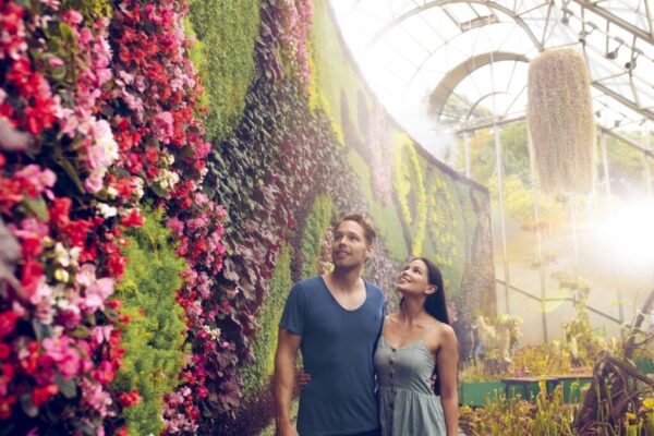 The Calyx, The Royal Botanic Garden Sydney Couple enjoying a walk through The Calyx in The Royal Botanic Garden Sydney.